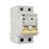 Автоматический выключатель IEK ВА47-29 2P 32A тип С 4,5 кА
