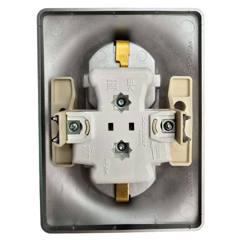 Розетка Systeme Electric Glossa двойная с заземлением алюминий GSL000324 Розетка Systeme Electric Glossa двойная с заземлением алюминий GSL000324